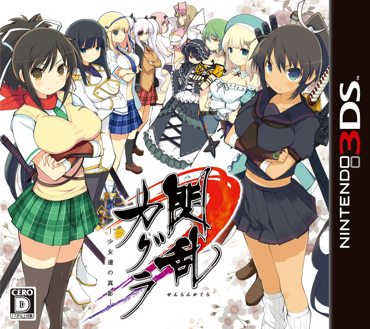 閃乱カグラ-少女達の真影- Nintendo 3DS ゲームソフト 任天堂 ニンテンドー 【中古】