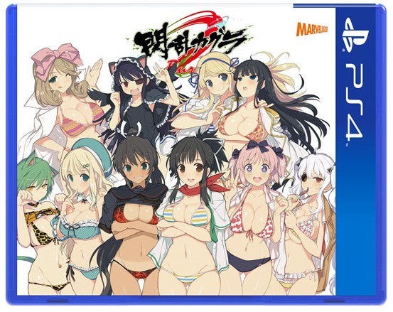 閃乱カグラ PEACH BEACH SPLASH にゅうにゅうDXパック ver.   プレイステーション４ ゲームソフト SONY Playstation4 【中古】