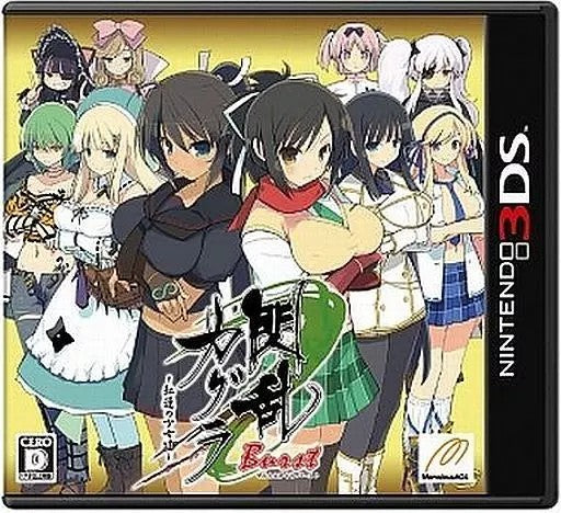 閃乱カグラBurst -紅蓮の少女達-  Nintendo 3DS ゲームソフト 任天堂 ニンテンドー 【中古】